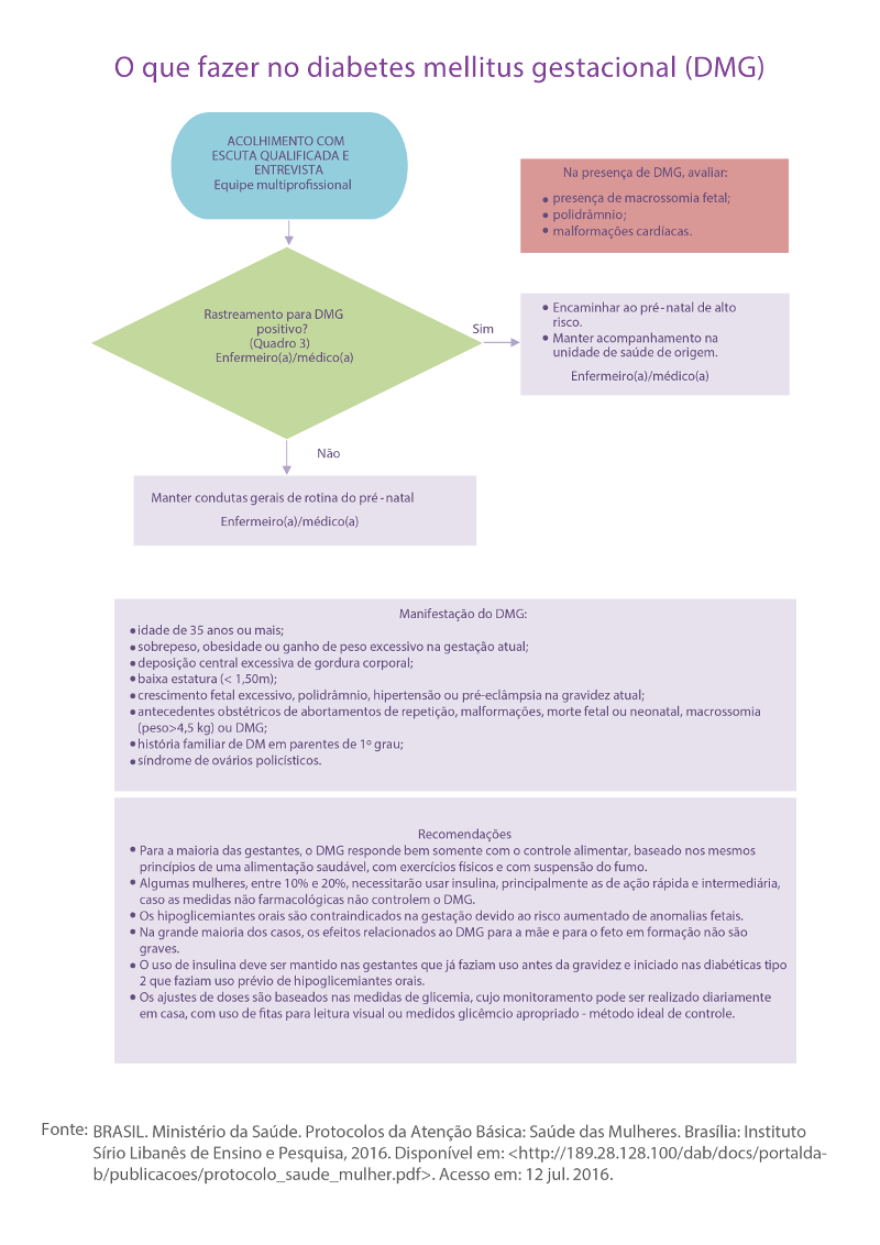 Infográfico Infográfico